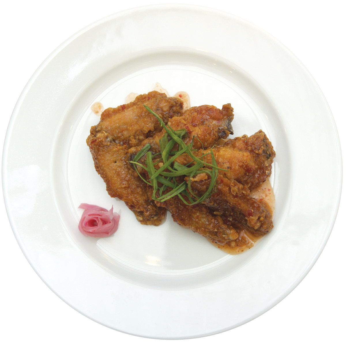 WOW%20World%20Of%20Wings