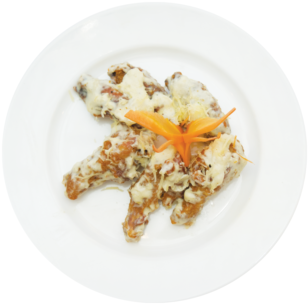 WOW%20World%20Of%20Wings