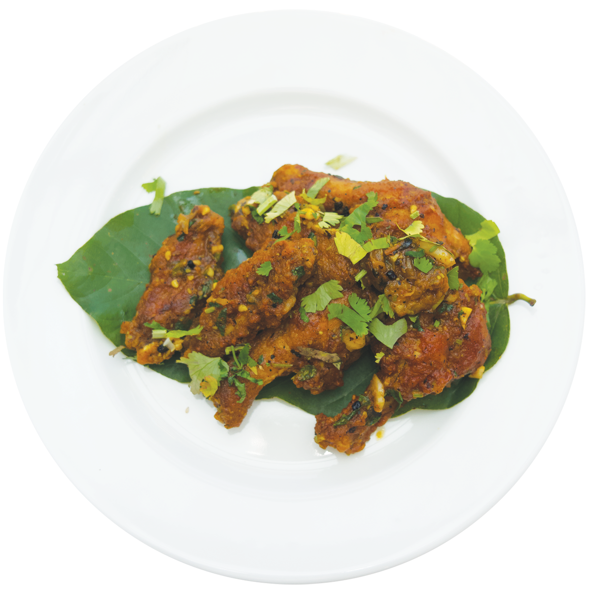 WOW%20World%20Of%20Wings