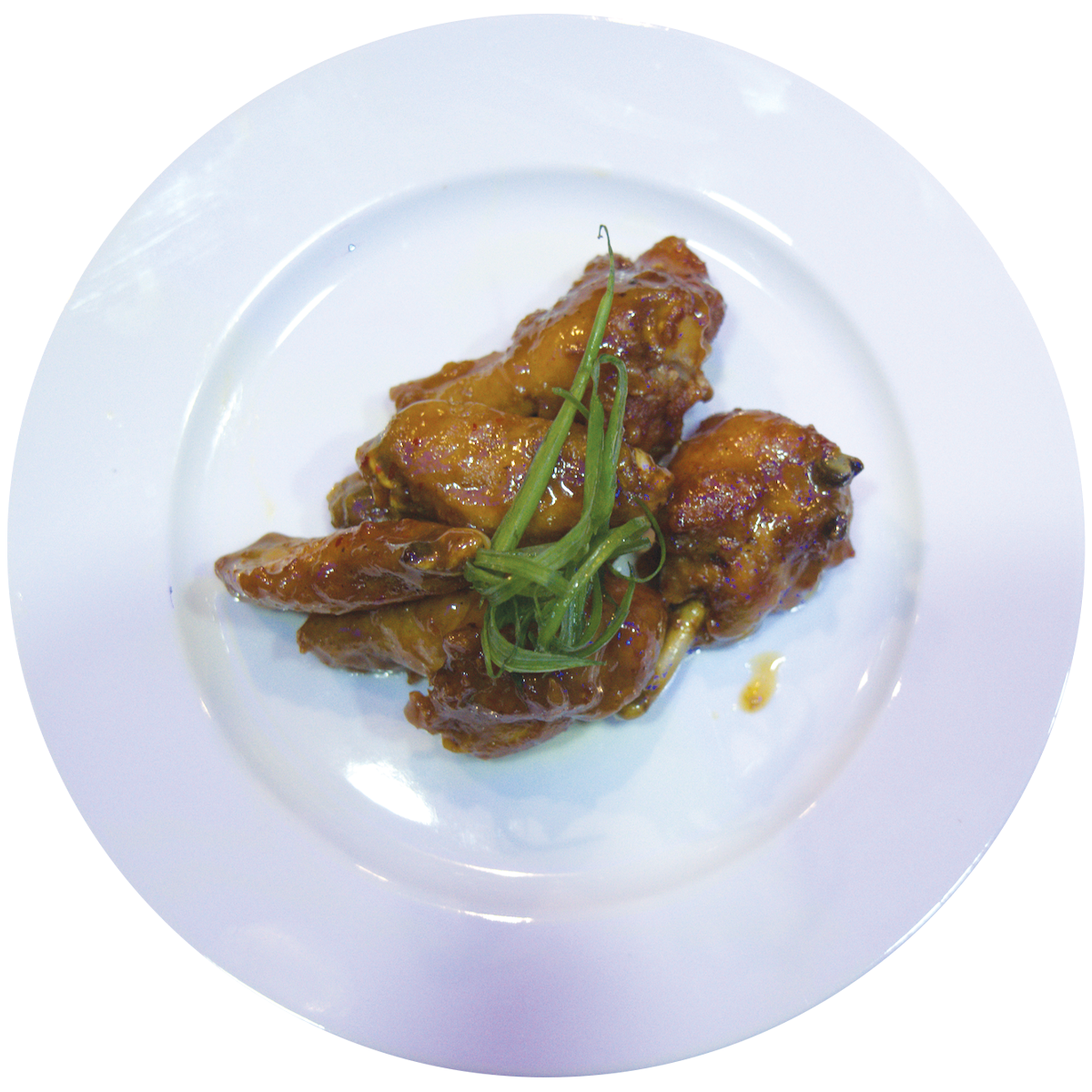 WOW%20World%20Of%20Wings